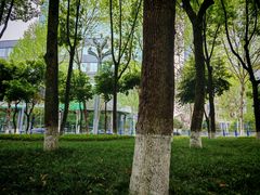 -重庆市江北嘴中央商务区中央公园