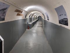 -枫泾古镇-人民公社旧址