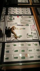 -北京七彩云南翡翠珠宝旗舰店(月坛店)