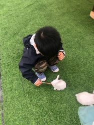 -萌宠亲子动物乐园(槐房万达店)