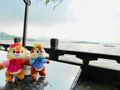 -杭州西湖柳莺里酒店·闻莺厅