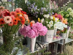 -二酉书店TOYOU BOOKS