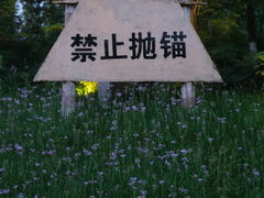-金海湾滨江公园