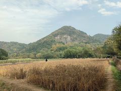 -八卦田遗址公园