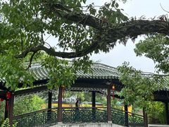 -江心屿景区