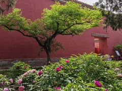 -北京市劳动人民文化宫(太庙)