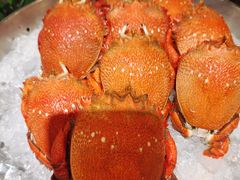 -知味自助餐厅(西安威斯汀大酒店)