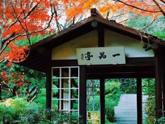 -中国茶叶博物馆(双峰馆区)