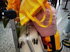 -广州白云国际机场-T2航站楼