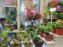-万商花鸟市场