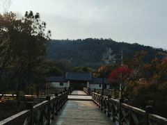 -长广溪湿地公园