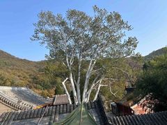 -潭柘寺景区