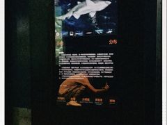 -上海海洋水族馆