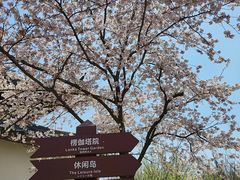 -苏州上方山国家森林公园