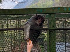 -藏龙百瀑风景区