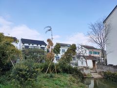 -树山生态村