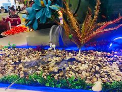 -银鲨海鲜烤肉火锅自助餐厅(五星店)