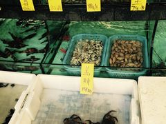 -松雅轩商务婚礼生日(同和店)