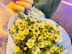 -循礼门鲜花花市(武汉循礼门店)