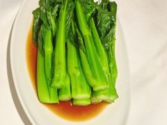白灼靓菜心-银灯食府(丽丰国际中心店)