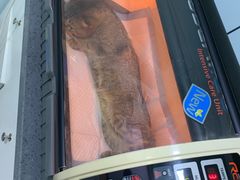 -瑞派宠物医院(锦江店)