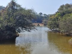 -南国桃园旅游度假区