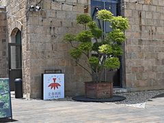 -金鱼妈妈 山野·食趣(荫山街店)