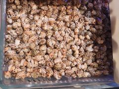 -阿伟海鲜楼·福建菜(延寿店)