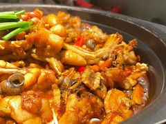 辛酸螺狮蛙-蛙小侠(五象万象汇店)