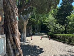 -紫金山天文台