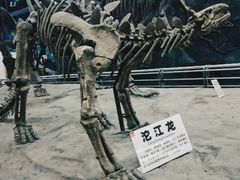 -吉林市博物馆