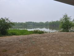 -白鹭湾湿地公园