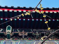 -北京艺术博物馆(万寿寺)