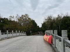 -上海海湾国家森林公园