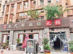 -叶二姐九尺鹅肠火锅(南部新城店)