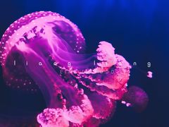 -华夏文旅西安度假区