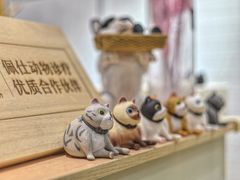 -Pets First伊珊娜洗护·精致美容·家庭式寄养(新会路店)