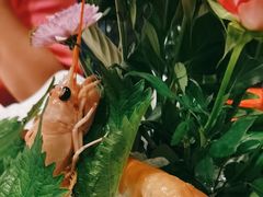 -Mr·Fish鱼鲜生海鲜放题(银泰in99店)