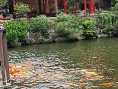 -大门水乡·顺德菜