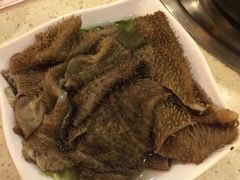 -朱氏胖子烂火锅(洪崖洞店)