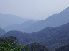 -大岭沟猕猴桃谷风景区