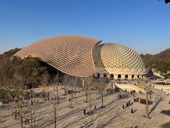 -牛首山文化旅游区