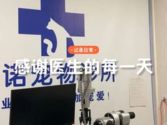 -守诺宠物医院·眼科· 特色牙科·异宠专科(虹口店)