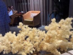 -浅深Cheersum(曹杨店)