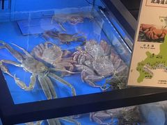 -蟹道乐(道顿堀本店)