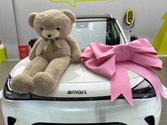 -上海浦东smart汽车全功能店(金桥店)