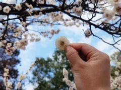 -张公山寨景区
