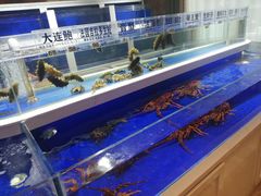 -泰河谷·豆捞