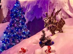 -上海外滩英迪格酒店