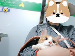 -半岛宠物医院24小时(科华中路店)